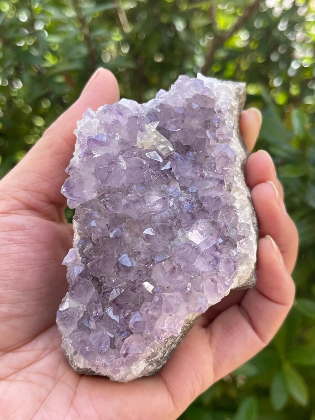 Grade A Amethyst Cluster, Amethyst Geode, Raw Amethyst Druze, Pick a Size