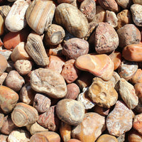 Bahia Agate - Large Rough Rocks for Tumbling - 2" - 3" - 1LB Bulk Wholesale