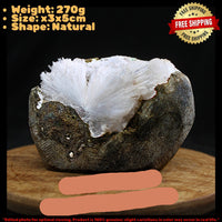 Apophyllite & Scolecite 270g Geode Spray Rare Mineral Specimen from India