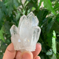 Grade A++ Clear Quartz Crystal Cluster, 1.5"- 2" Raw Clear Quartz Geode