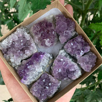 Raw Amethyst Cluster Druzy Collection Box: 6 - 8 oz Box Lot, Natural Amethyst
