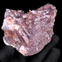 Phantom Clear Quartz Cluster 436g 9x7 cm Natural Raw Healing Crystal India