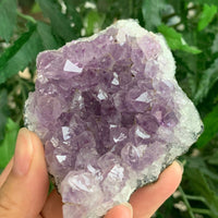 Amethyst Cluster, Amethyst Geode, Raw Amethyst, Amethyst Druze, Pick a Size