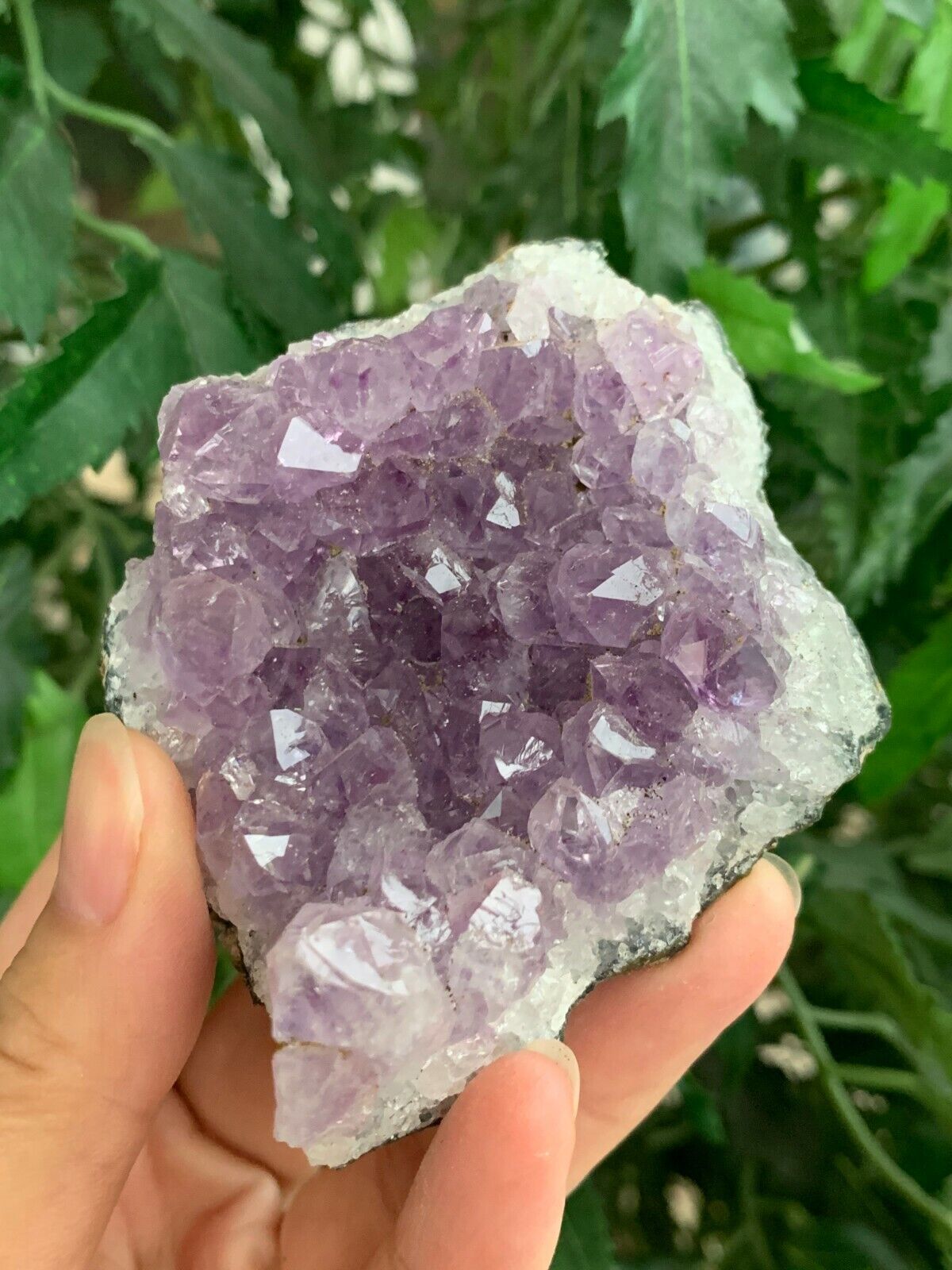 Amethyst Cluster, Amethyst Geode, Raw Amethyst, Amethyst Druze, Pick a Size
