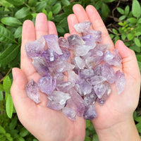 1/2 lb Bulk Amethyst & Quartz Crystal Collection in Box, Natural Clear Points