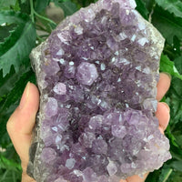 Amethyst Cluster, Amethyst Geode, Raw Amethyst, Amethyst Druze, Pick a Size