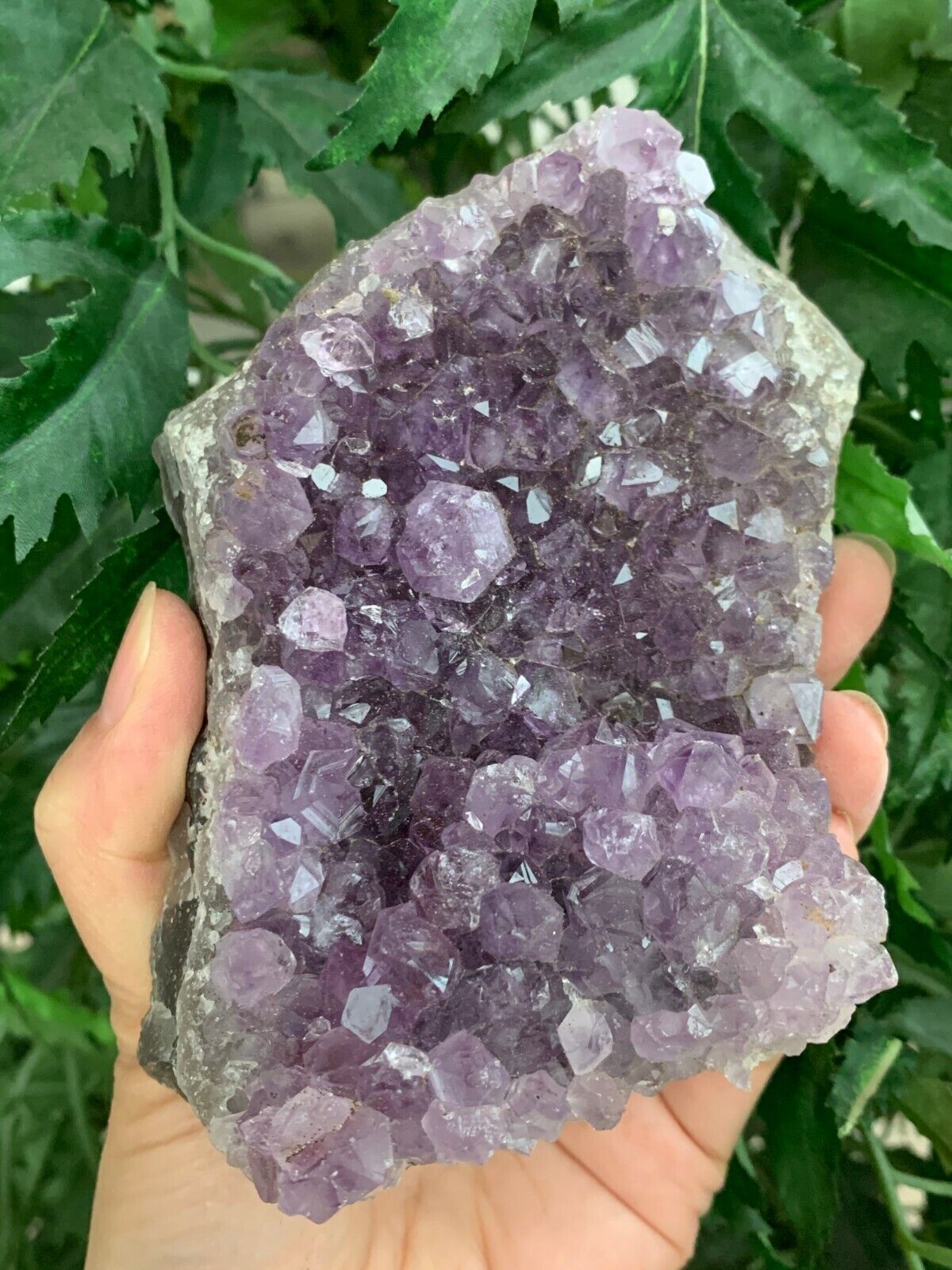 Amethyst Cluster, Amethyst Geode, Raw Amethyst, Amethyst Druze, Pick a Size