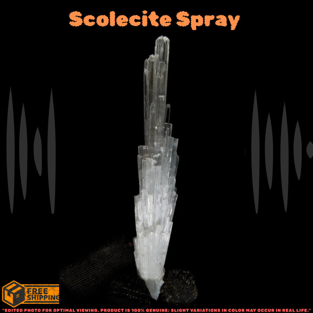 Natural Scolecite Crystal 12g 10x1x1cm Rare White Zeolite India