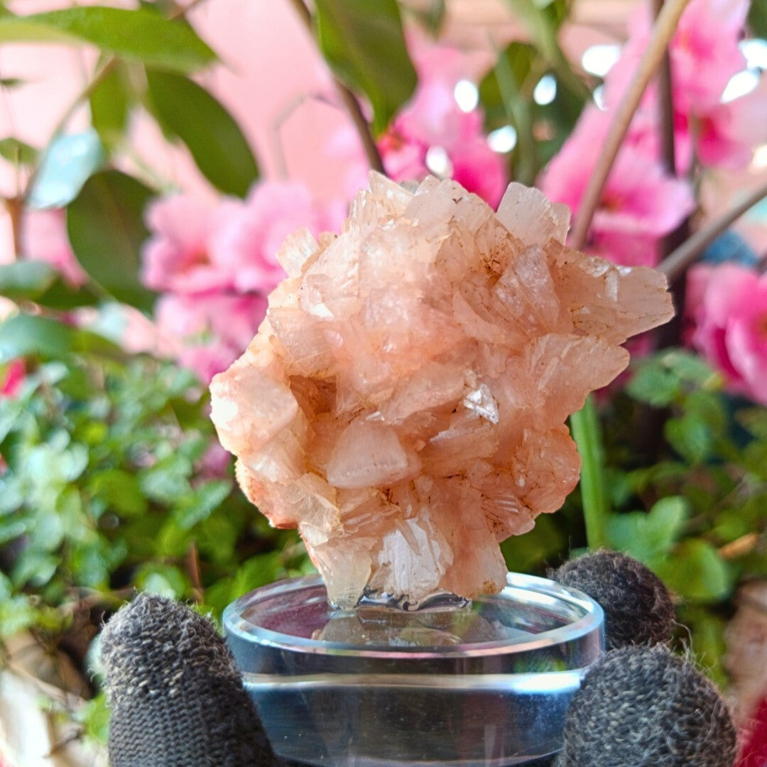 Natural Stilbite & Heulandite Cluster 155g Calming Energy Healing Crystal
