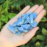 Blue Kyanite Blades Crystal Collection 1/2 lb Box Lot - Natural Kyanite Crystals