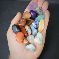 Assorted Mixed Tumbled Stones 1 lb Wholesale Bulk Lot MEDIUM Chakra Reiki 16 oz