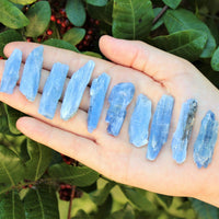 Blue Kyanite Blades Crystal Collection 1/2 lb Box Lot - Natural Kyanite Crystals