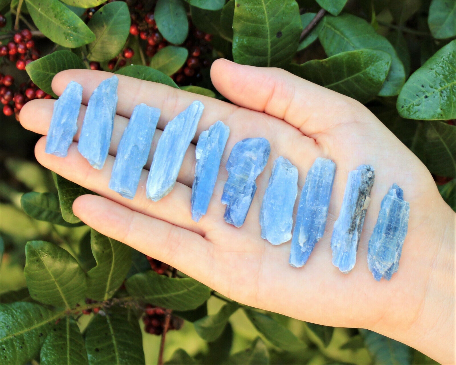 Blue Kyanite Blades Crystal Collection 1/2 lb Box Lot - Natural Kyanite Crystals