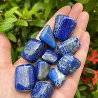 1/2 Lb Lot Tumbled Stones, 0.75-1.25" Crystal Healing Stones, Choose Stone Type