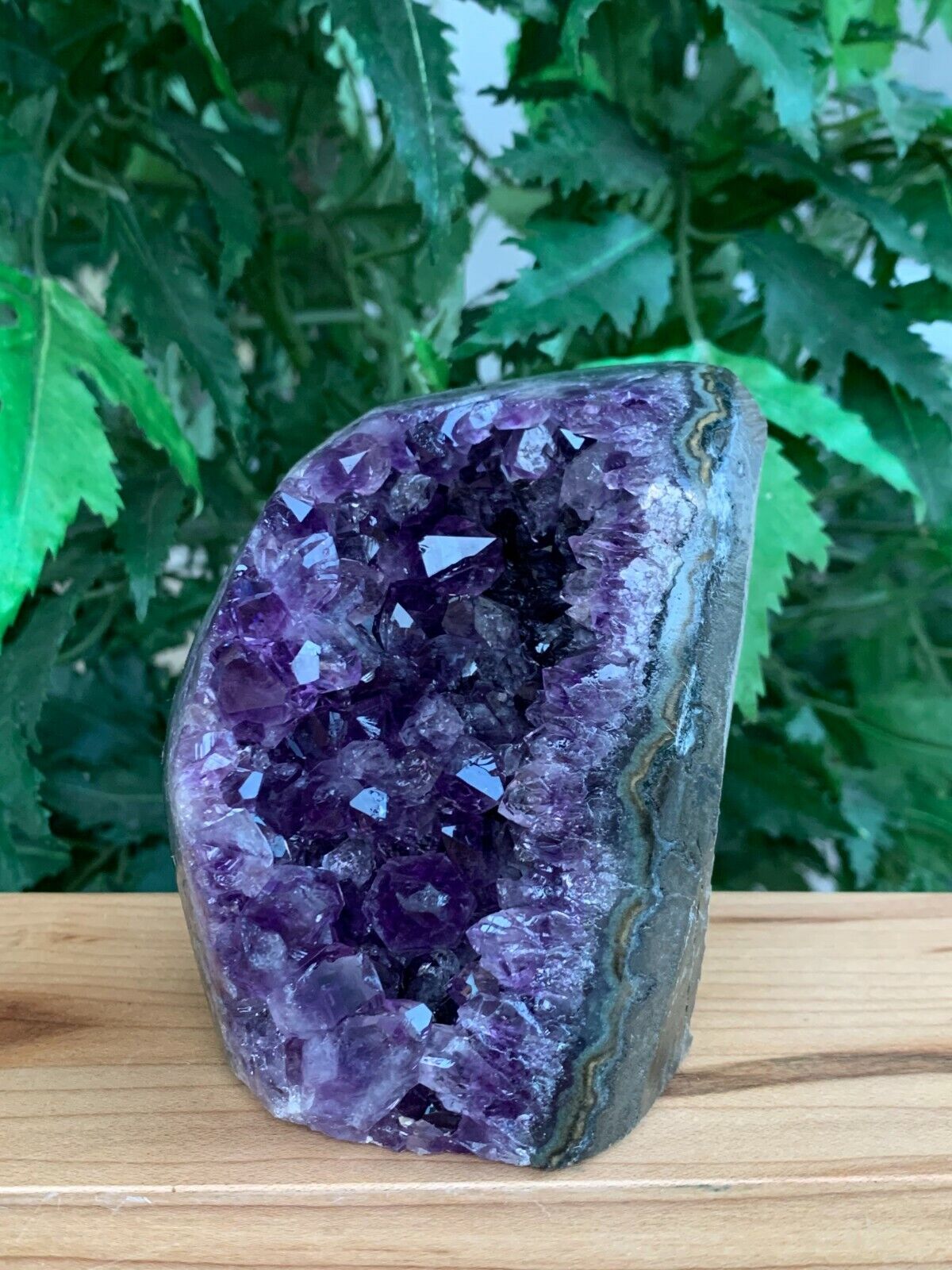 Finely Polished Uruguay Deep Purple Amethyst Cluster Crystal Geode, Pick a Size