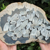 Lot of 3 LARGE Clear Quartz Point Crystals: 1" - 1.5" Crystal Points (US Seller)