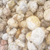 5 lbs Premium Kentucky Uncut Geodes Agates Nodules Lapidary Quartz Crystals Sale