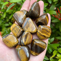 1/2 Lb Lot Tumbled Stones, 0.75-1.25" Crystal Healing Stones, Choose Stone Type