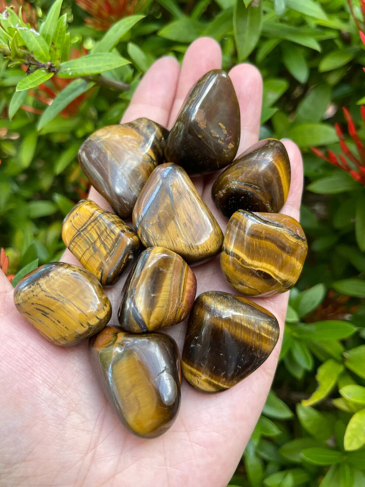 1/2 Lb Lot Tumbled Stones, 0.75-1.25" Crystal Healing Stones, Choose Stone Type