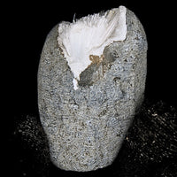 Rare Scolecite Spray in Geode 90g Natural Mineral Specimen India 5x4cm