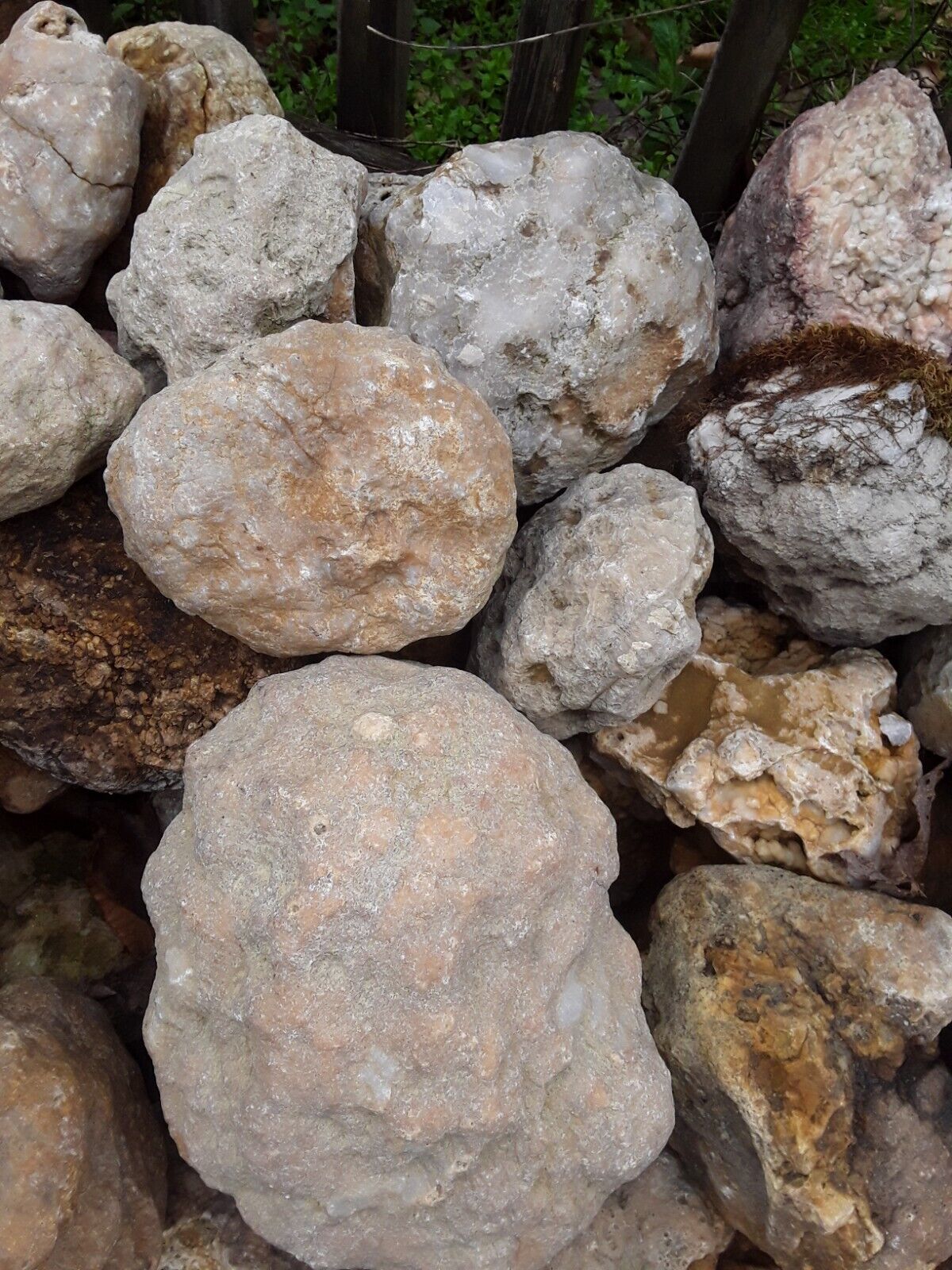 5 lbs Premium Kentucky Uncut Geodes Agates Nodules Lapidary Quartz Crystals Sale