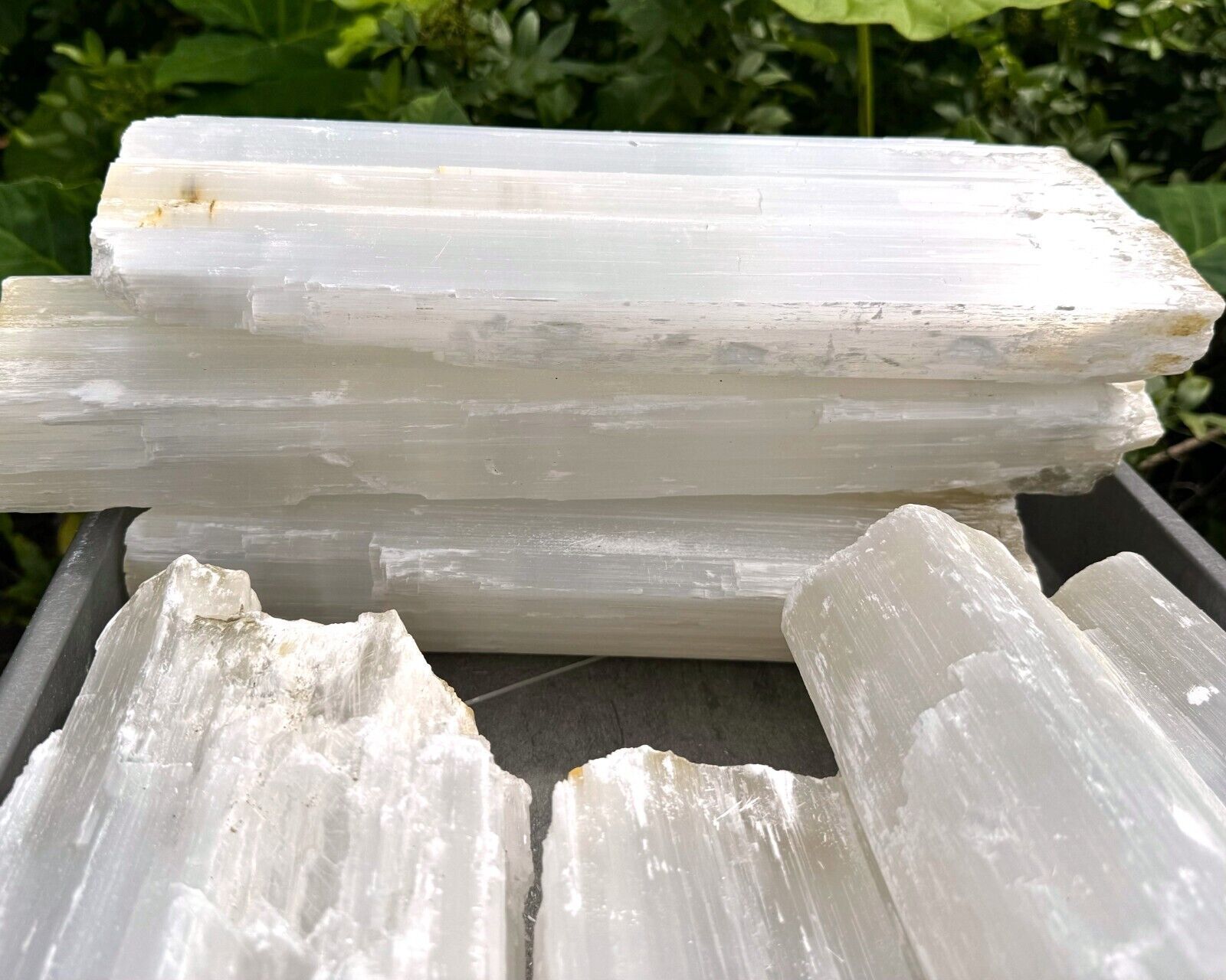 MASSIVE Selenite Logs - Natural White Selenite Crystals (HUGE Selenite Sticks)