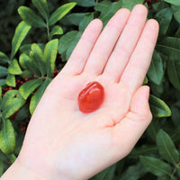 1 x Tumbled Stones : You Choose Type - Huge Range - ON SALE! (Crystal Healing)