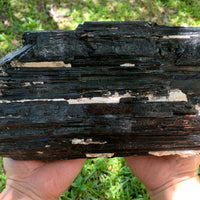 Extra Large Black Tourmaline Chunk / Rod / Log, Natural Rough Black Tourmaline