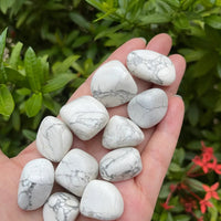 1/2 Lb Lot Tumbled Stones, 0.75-1.25" Crystal Healing Stones, Choose Stone Type