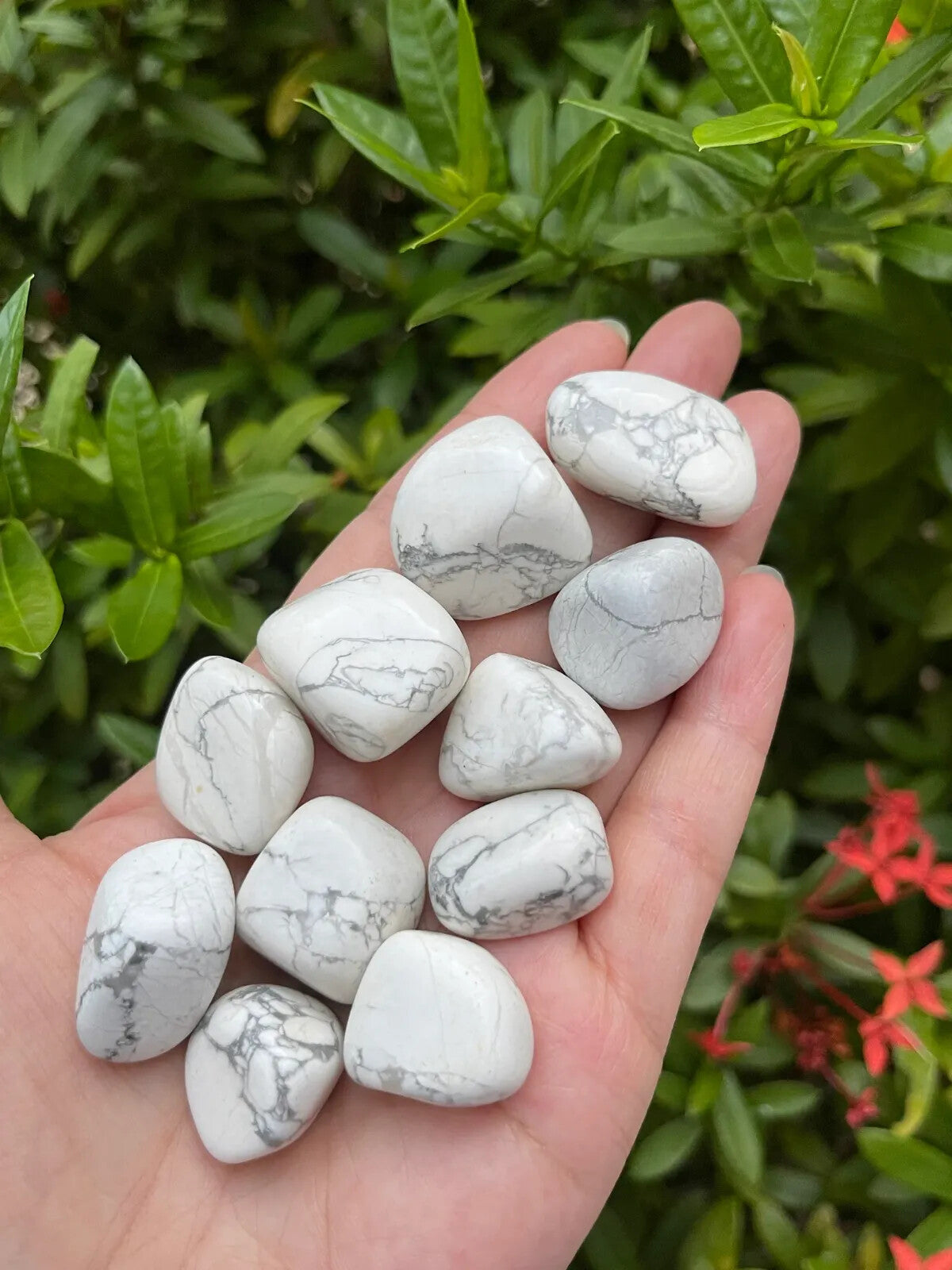 1/2 Lb Lot Tumbled Stones, 0.75-1.25" Crystal Healing Stones, Choose Stone Type