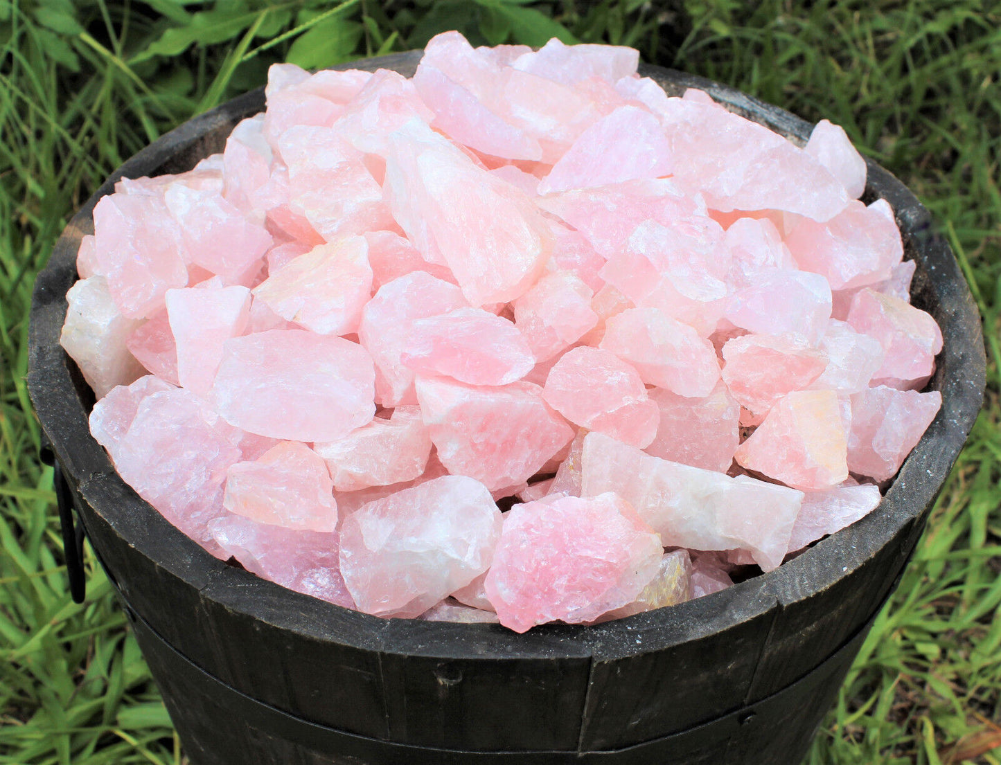 Single Large Rough Rose Quartz Crystal | 2"–3" Natural Raw Love Stone | Healing Specimen
