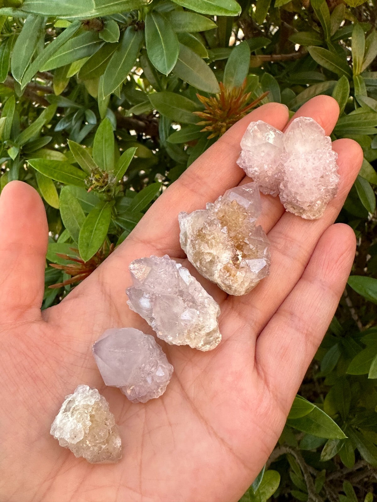 Spirit Quartz Clusters Crystal Collection Box: 6 - 7 oz Box Lot, 11 - 14 Pieces