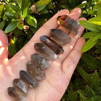 Natural Smoky Quartz Crystal Points, Small Smoky Quartz Point,Wholesale Bulk Lot
