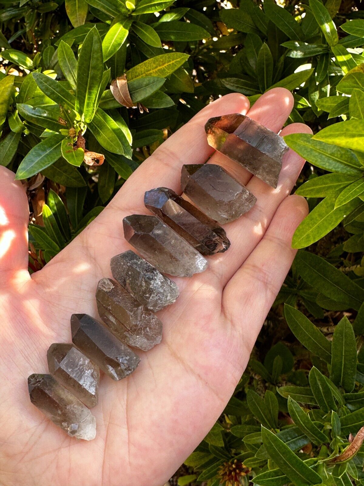 Natural Smoky Quartz Crystal Points, Small Smoky Quartz Point,Wholesale Bulk Lot
