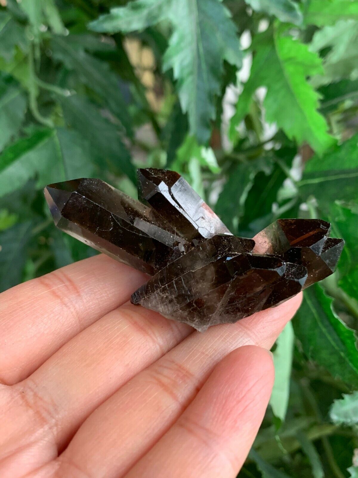 3 Piece Healing Crystal: Citrine, Amethyst &Smoky Quartz Crystal Clusters Geodes