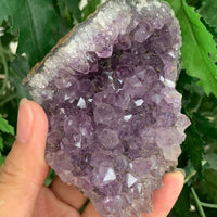Amethyst Cluster, Amethyst Geode, Raw Amethyst, Amethyst Druze, Pick a Size
