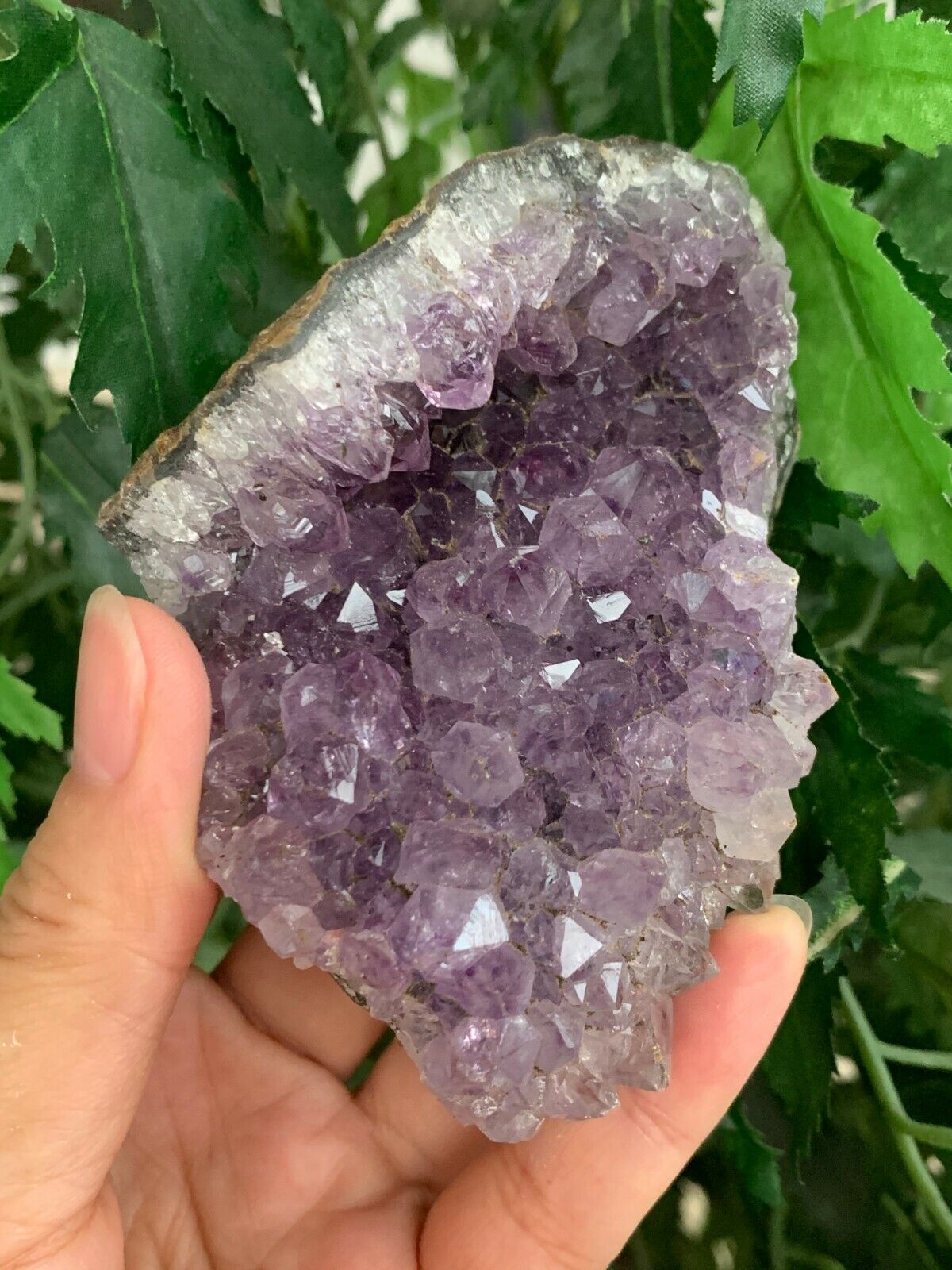 Amethyst Cluster, Amethyst Geode, Raw Amethyst, Amethyst Druze, Pick a Size