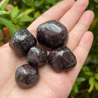 1/2 Lb Lot Tumbled Stones, 0.75-1.25" Crystal Healing Stones, Choose Stone Type