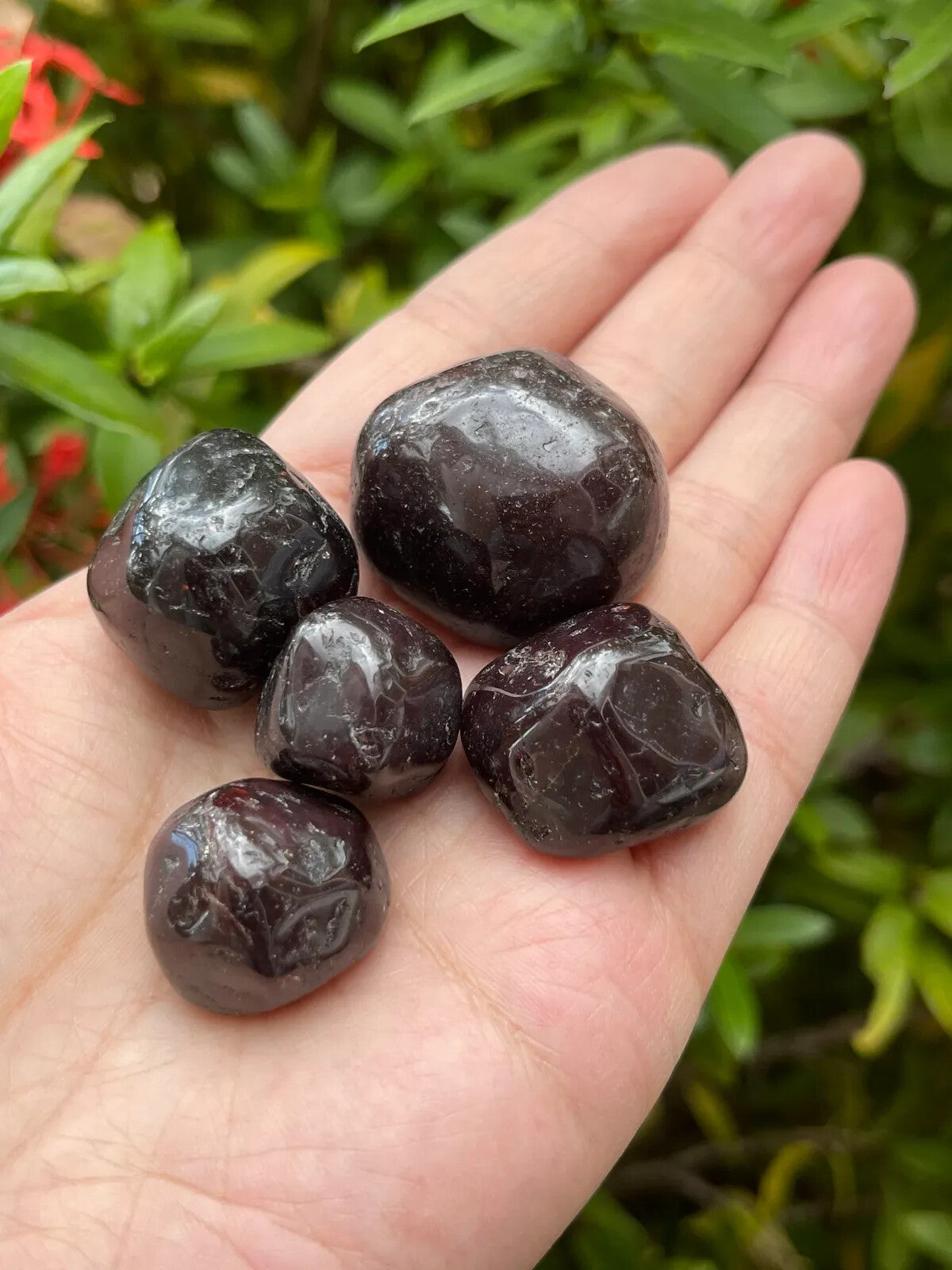 1/2 Lb Lot Tumbled Stones, 0.75-1.25" Crystal Healing Stones, Choose Stone Type