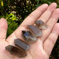 Natural Smoky Quartz Crystal Points, Small Smoky Quartz Point,Wholesale Bulk Lot