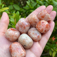 1/2 Lb Lot Tumbled Stones, 0.75-1.25" Crystal Healing Stones, Choose Stone Type
