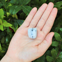 1 x Tumbled Stones : You Choose Type - Huge Range - ON SALE! (Crystal Healing)