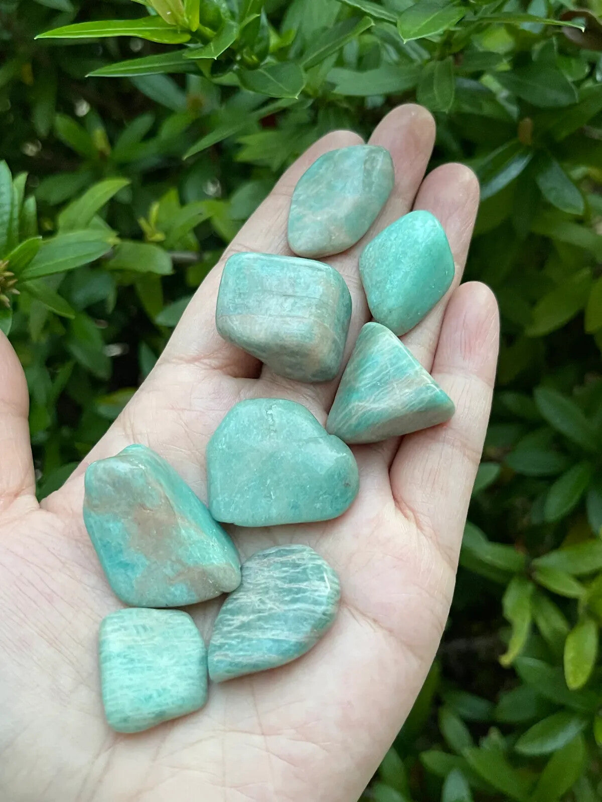 1/2 Lb Lot Tumbled Stones, 0.75-1.25" Crystal Healing Stones, Choose Stone Type
