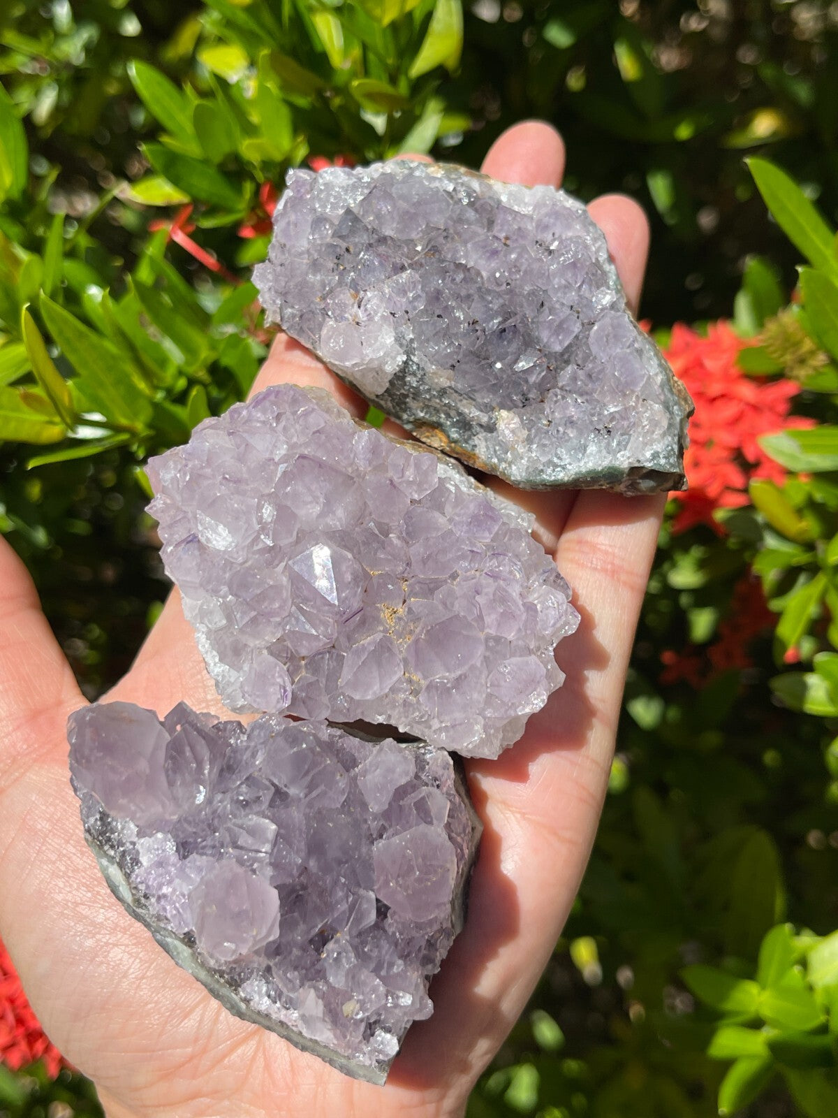 Grade B Amethyst Cluster, Amethyst Geode, Raw Amethyst Druze, Wholesale Bulk Lot