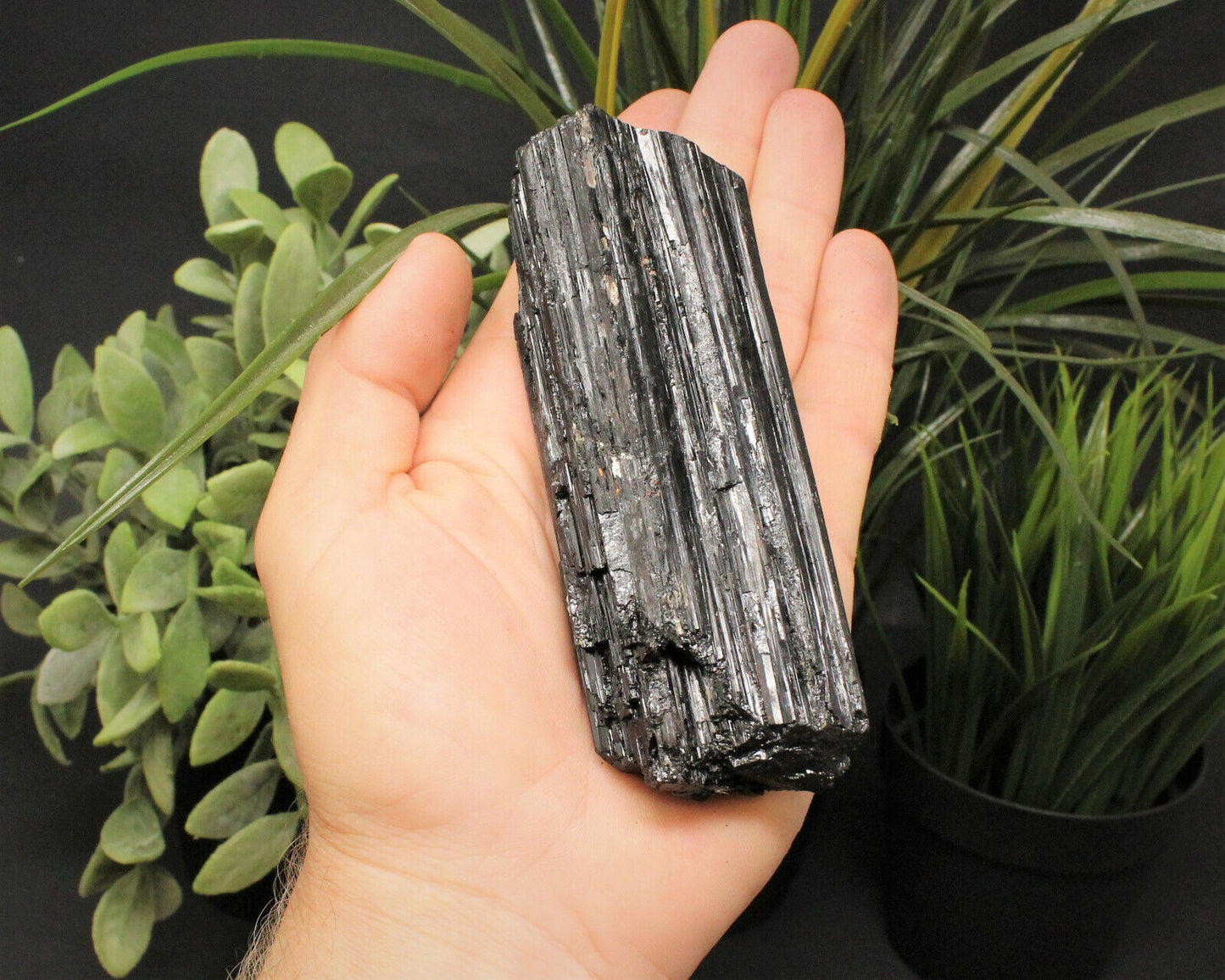 XL JUMBO Black Tourmaline PREMIUM EXTRA A GRADE Shiny Rough Rod Log (12 - 15 oz)
