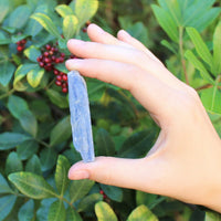 Blue Kyanite Blades Crystal Collection 1/2 lb Box Lot - Natural Kyanite Crystals