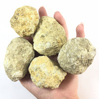 20 Break Crack Open Your Own Whole Quartz Geodes W/Gift Bag - 2" Crystal Rocks