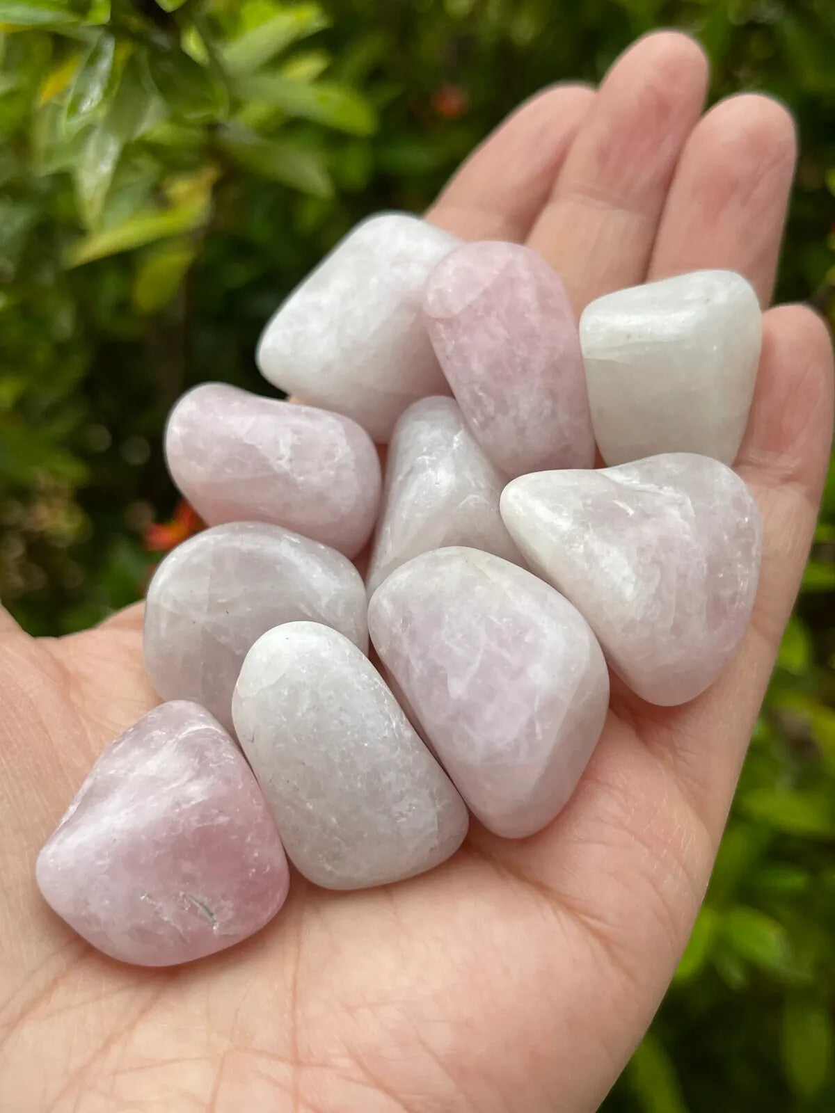 1/2 Lb Lot Tumbled Stones, 0.75-1.25" Crystal Healing Stones, Choose Stone Type