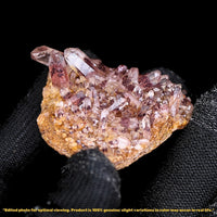 Phantom Clear Quartz 24g 5x4 cm Mini Natural Crystal