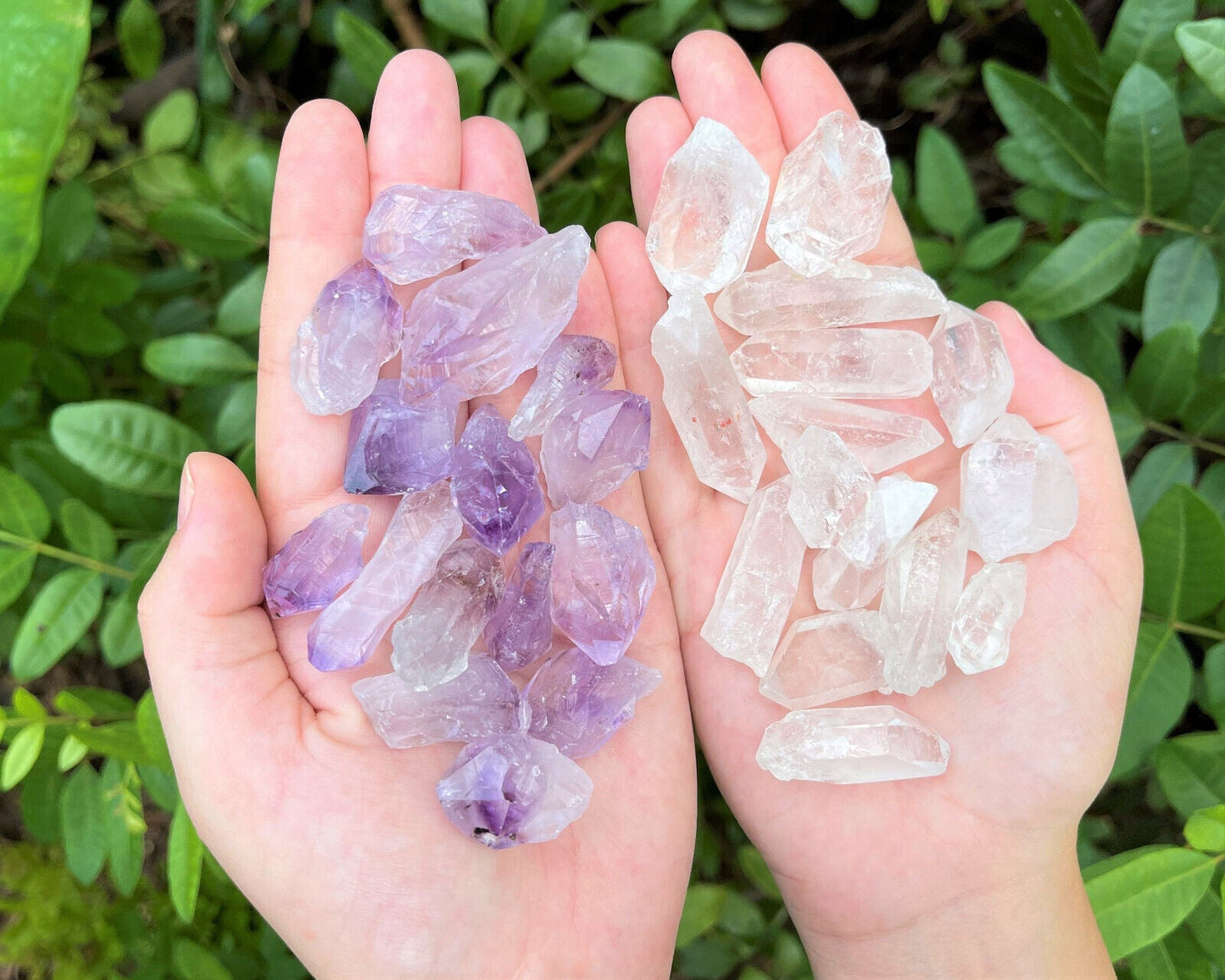 1/2 lb Bulk Amethyst & Quartz Crystal Collection in Box, Natural Clear Points
